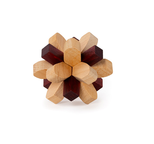 rt_brain-puzzle-2-parietal-lobe_lr_05-product-front_assembled-copy